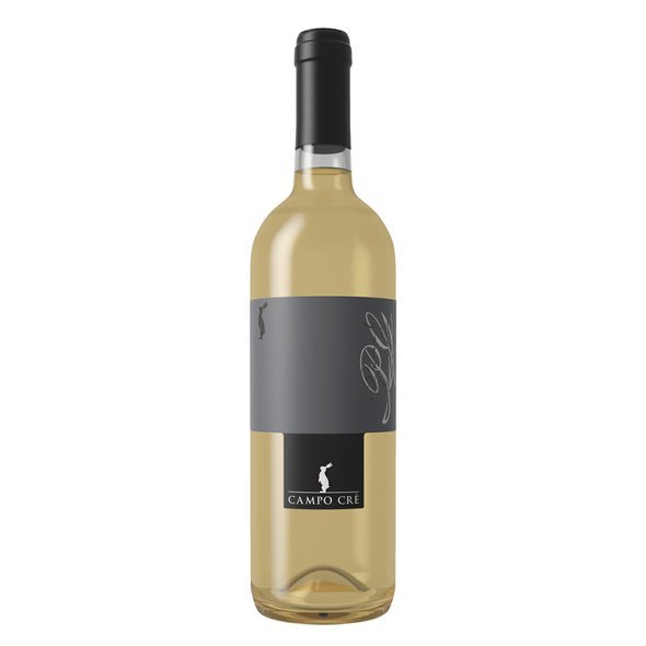 CASA_BACCICHETTO_Pinot_grigio_21_07_31.jpg