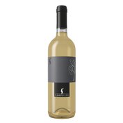 Pinot Grigio Casa Baccichetto 2020