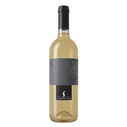 CASA_BACCICHETTO_Pinot_grigio_21_07_31.jpg