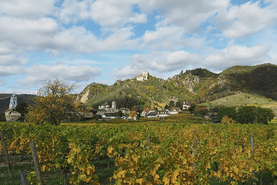 Vinařství Bioweingut Schmidl