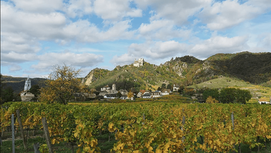 Vinarstvi Bioweingut Schmidl.PNG