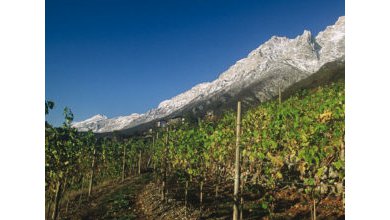 Vinarstvi Cantina Aldeno.jpg