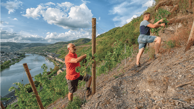 Vinarstvi Weis Weingut.PNG