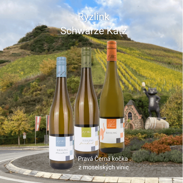 Slider_mobil Ryzlink